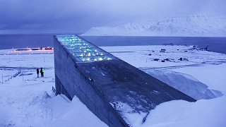 Seed_vault_320x180.jpg