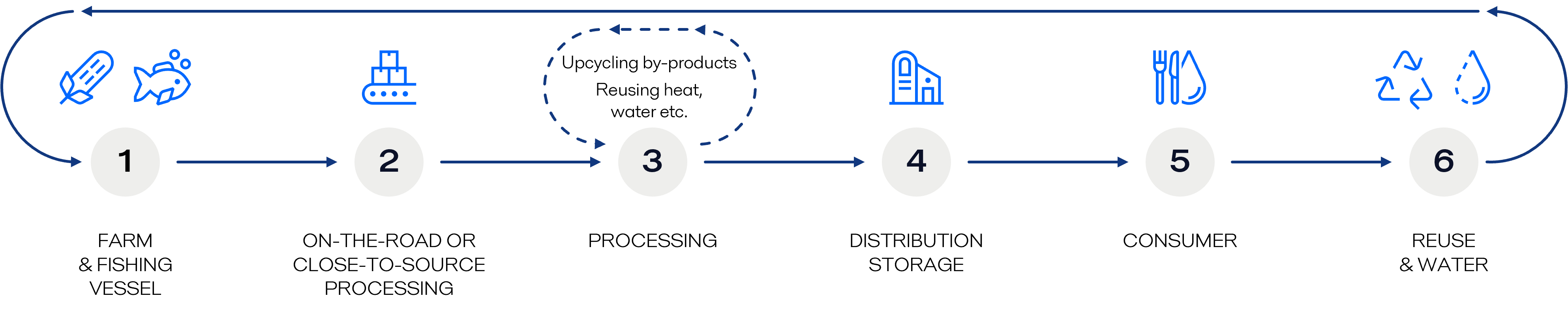 Conventional food value chain new CVI