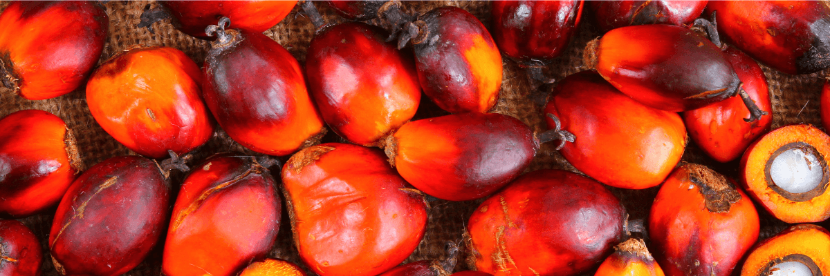 Edible oil event banner.png