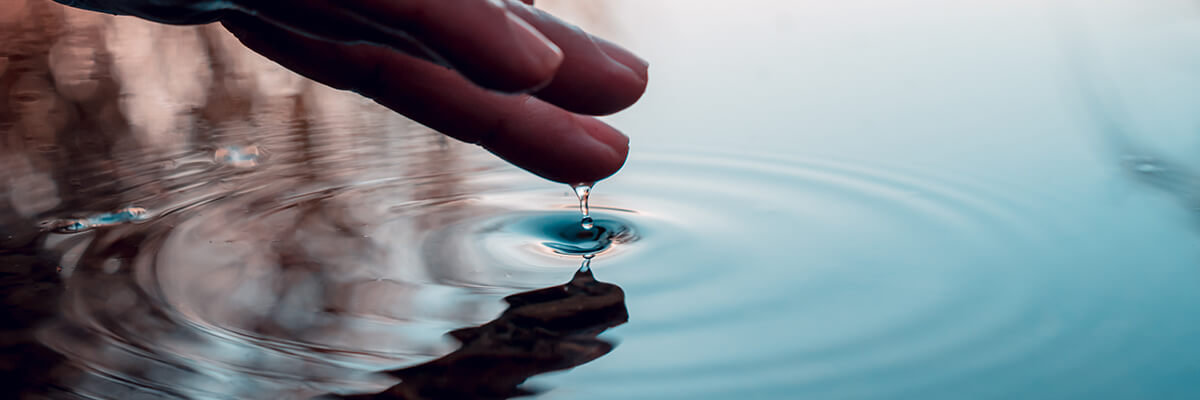 Sustainability business opportunities banner 1200x400