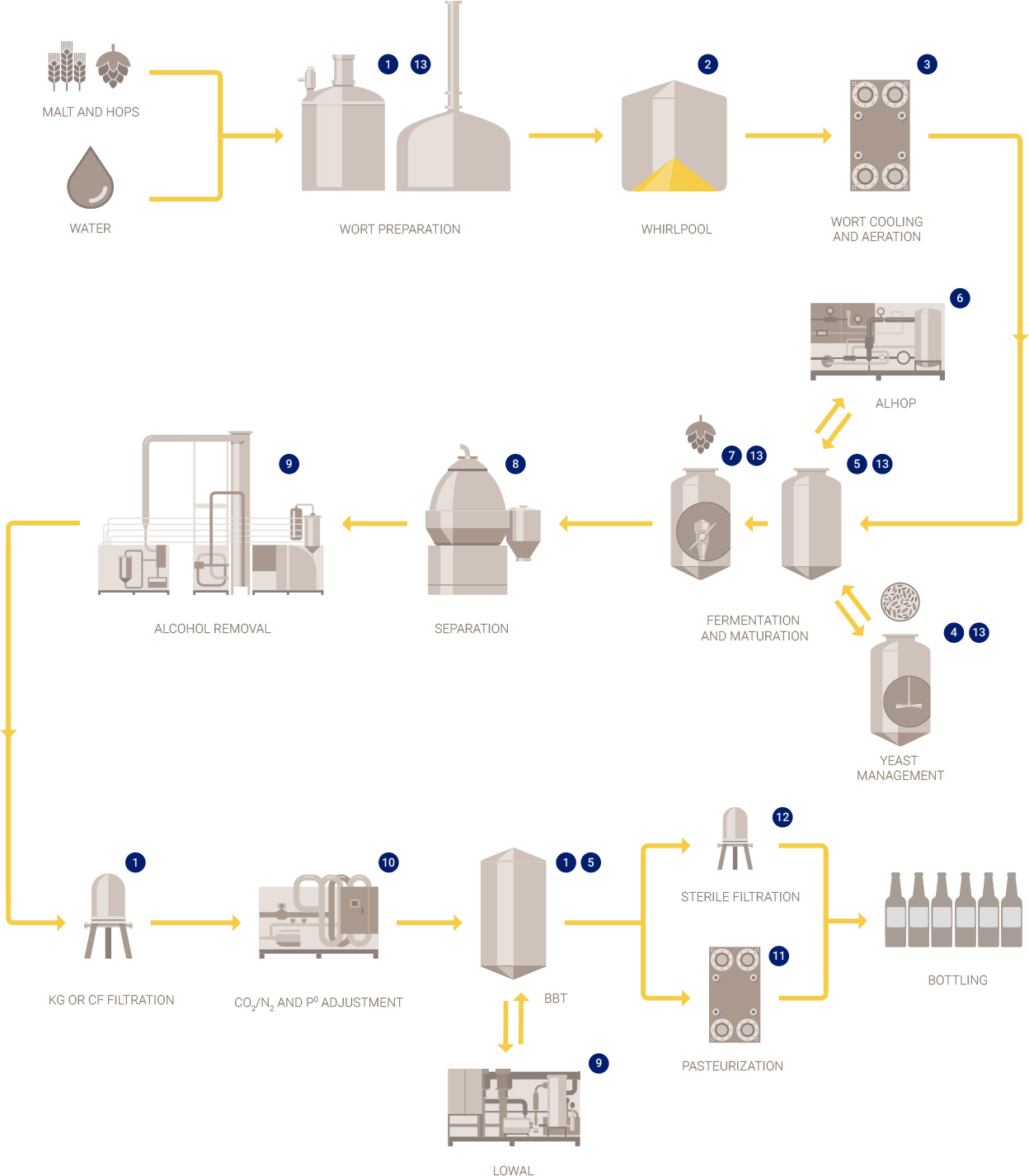 Craft brewing process