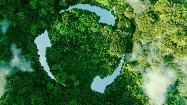 forest whitepaper 640x360