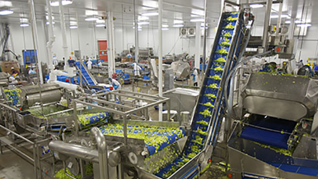 toronto food manf valves 640x360