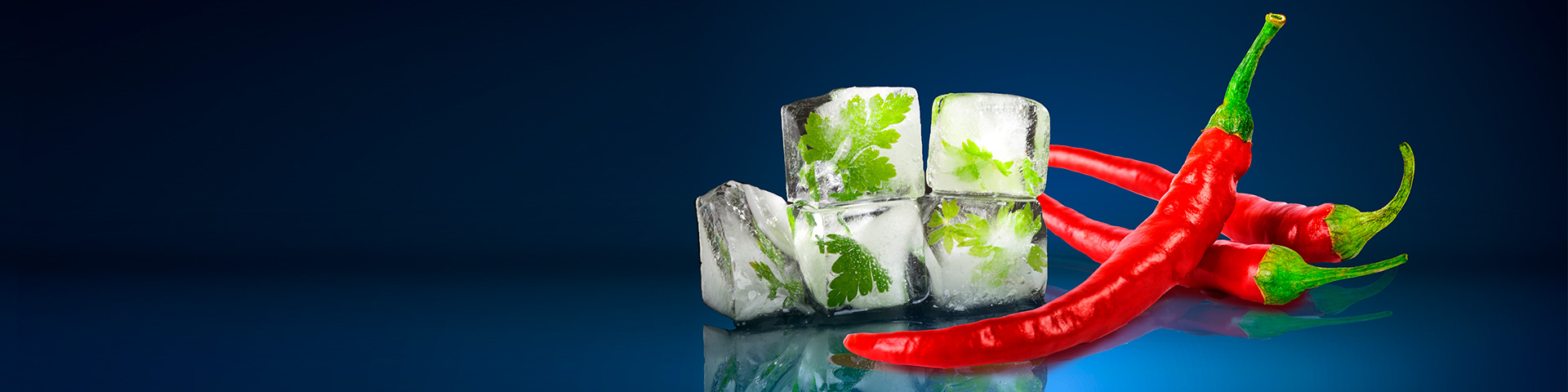 header ice chilli 1920x480