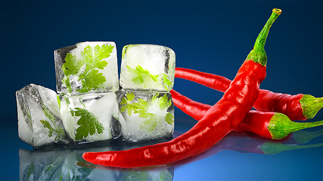 mobile header ice chilli 640x360