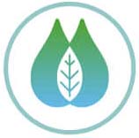 Utiliser le methanol comme carburant des navires marchands